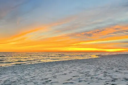 86919bc4f9874738ba4eb395add24210 LargeOriginal.jpg