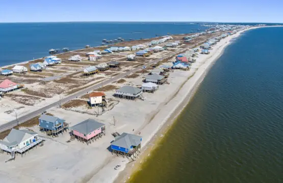 d546ea659c1b4097a6f0033e8d2b8a0b LargeOriginal.jpg