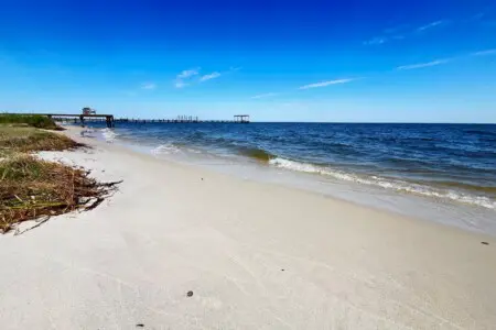 5eb1a01ecb12414f80d2145d70f7ece0 LargeOriginal.jpg