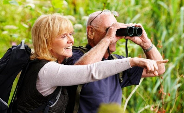 Bird Watchers