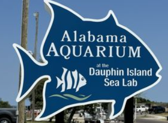 DI AQUARIUM