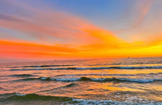 60d1c48d6d714d97b0af836620326fa1 LargeOriginal.jpg