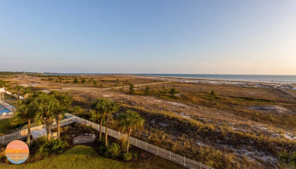 170a2e8f09d14ff282d4e7d59e268199 LargeOriginal.jpg