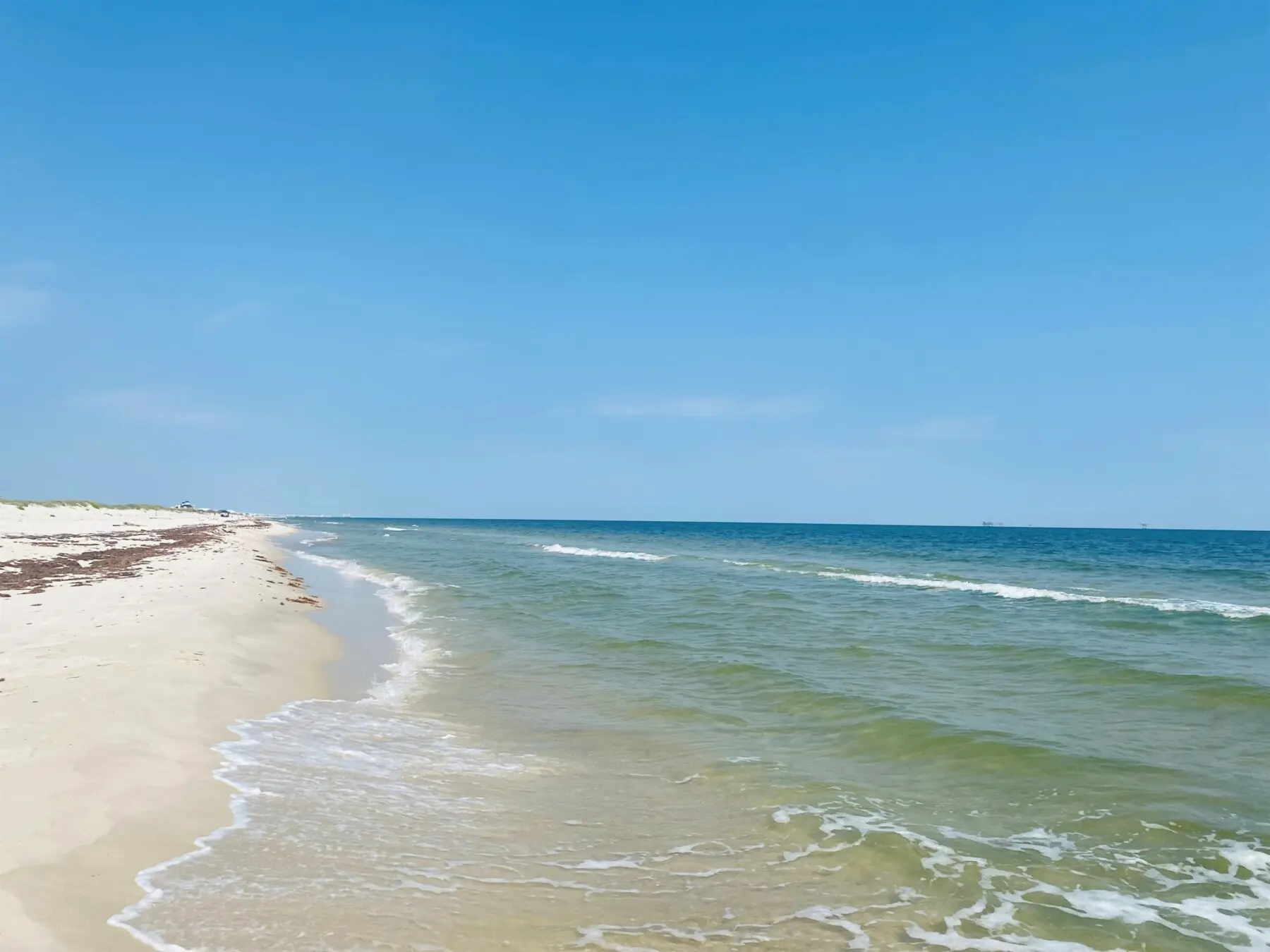 62ddf28967bc4ebc8231c77707e6f8c1 LargeOriginal.jpg