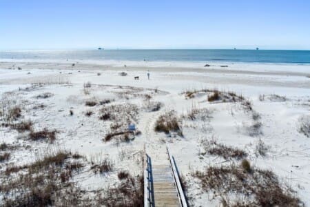 0b8837fda417415d83064ade58a5e316 LargeOriginal.jpg