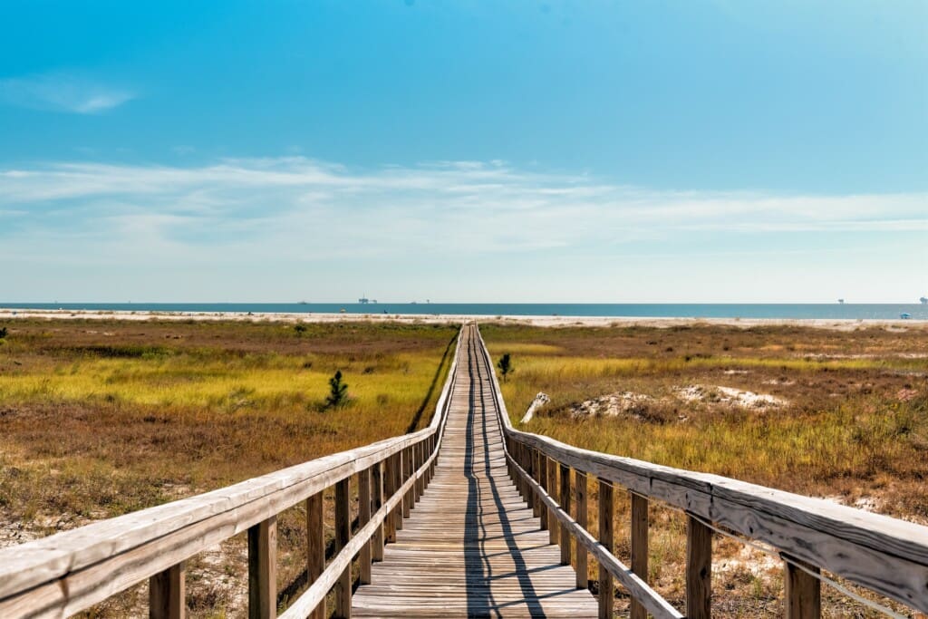 1ca4a36f2ee44465857f2d338d31d44f LargeOriginal.jpg