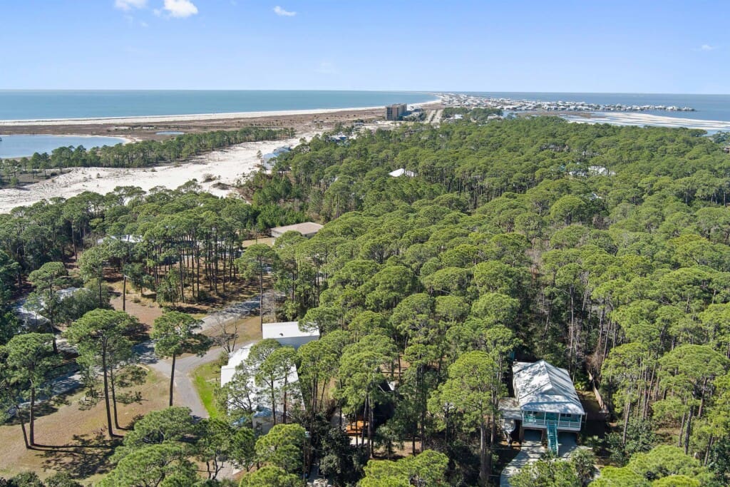 203b1934b22041b9b13e8d81fe737e5c LargeOriginal.jpg