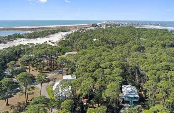 203b1934b22041b9b13e8d81fe737e5c LargeOriginal.jpg