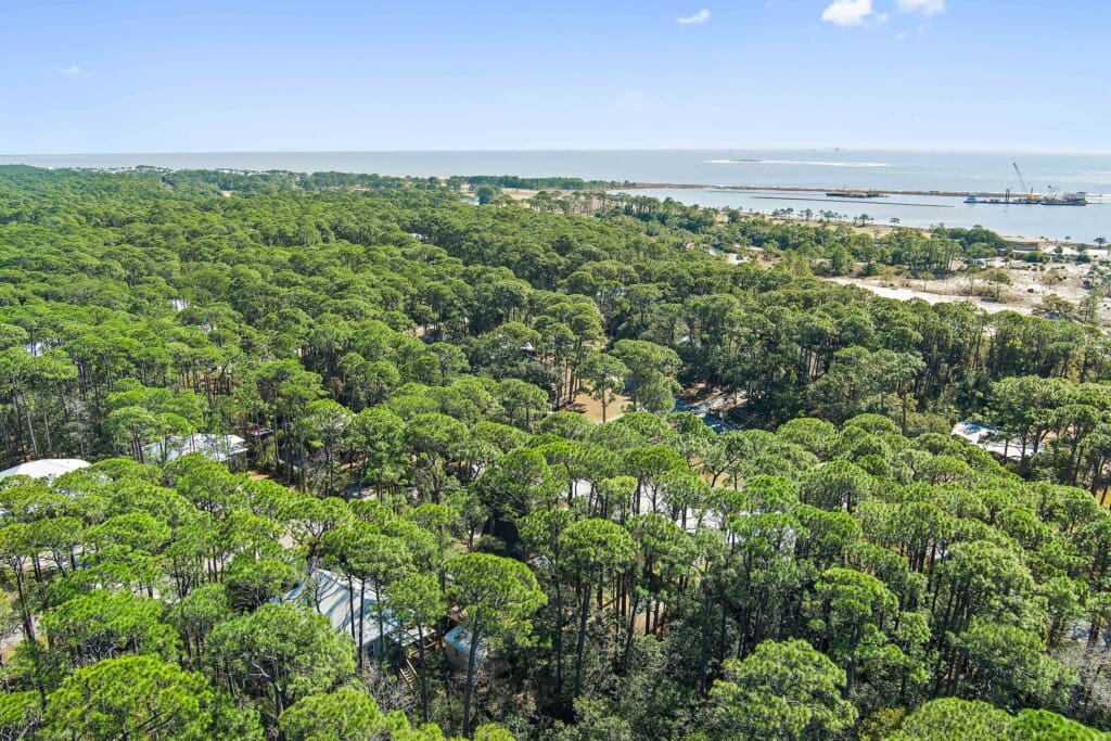 2b37279bb40347ebad5960bc950f0eff LargeOriginal.jpg