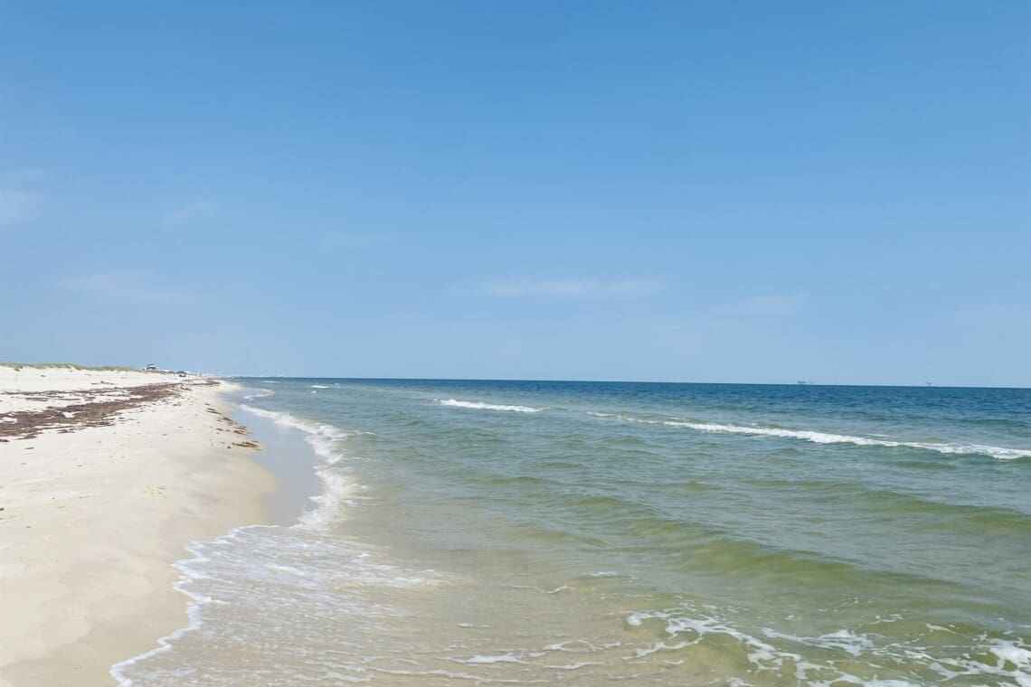 53de3f98782e4a7284a2381341895a1e LargeOriginal.jpg