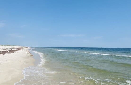 53de3f98782e4a7284a2381341895a1e LargeOriginal.jpg