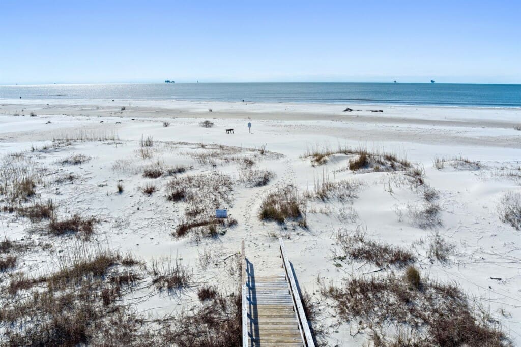 55d5d4fff6a248d9ad3d79192dc5627e LargeOriginal.jpg