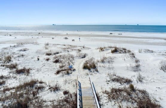 55d5d4fff6a248d9ad3d79192dc5627e LargeOriginal.jpg