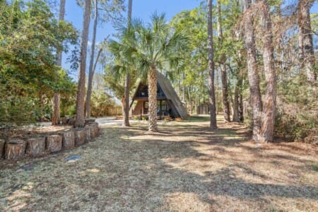 79420951534c428ca3316aa80e460081 LargeOriginal.jpg