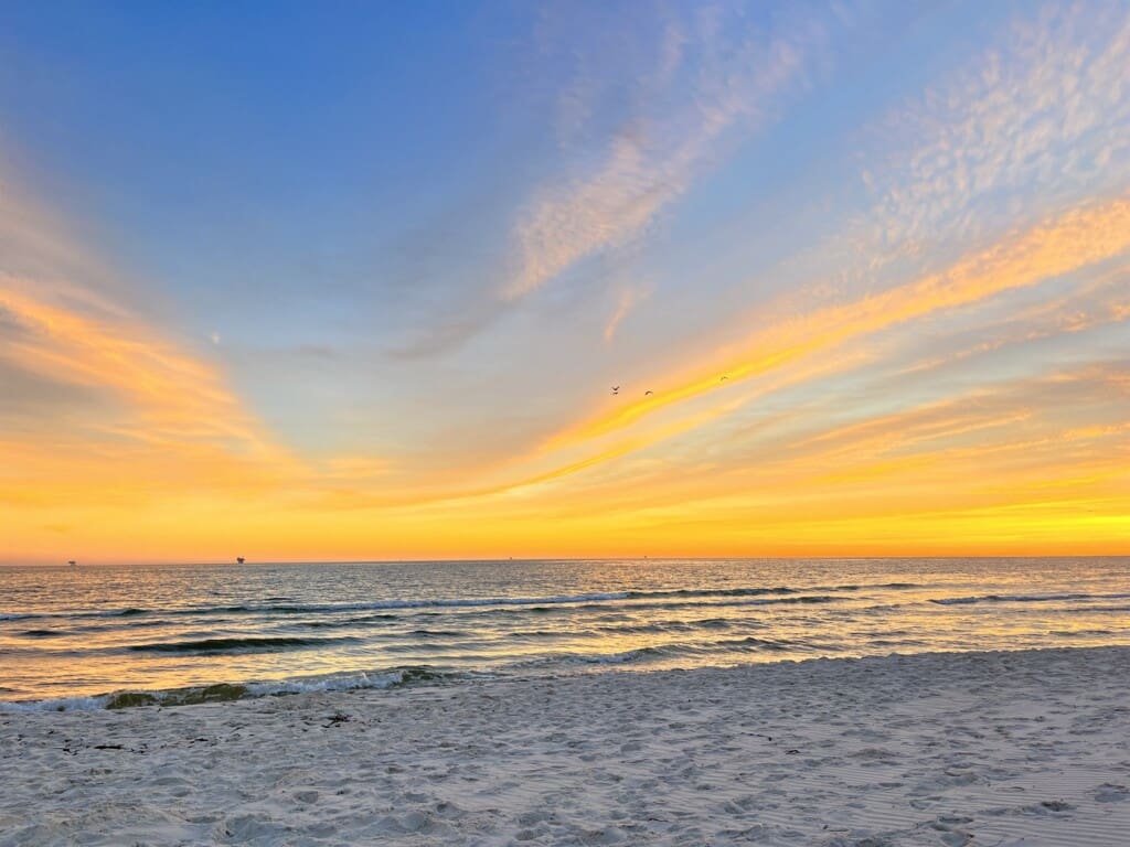 8ed4992484494c3dbe0b96606c3f9227 LargeOriginal.jpg