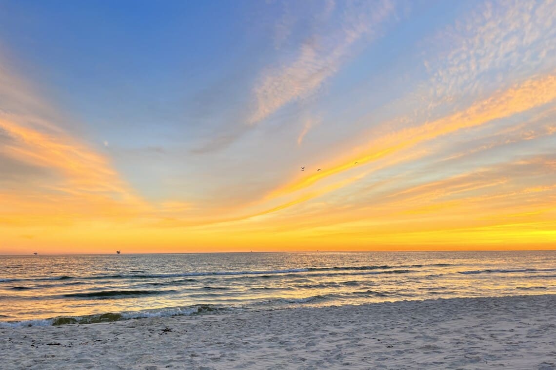 8ed4992484494c3dbe0b96606c3f9227 LargeOriginal.jpg