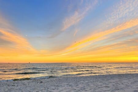 8ed4992484494c3dbe0b96606c3f9227 LargeOriginal.jpg