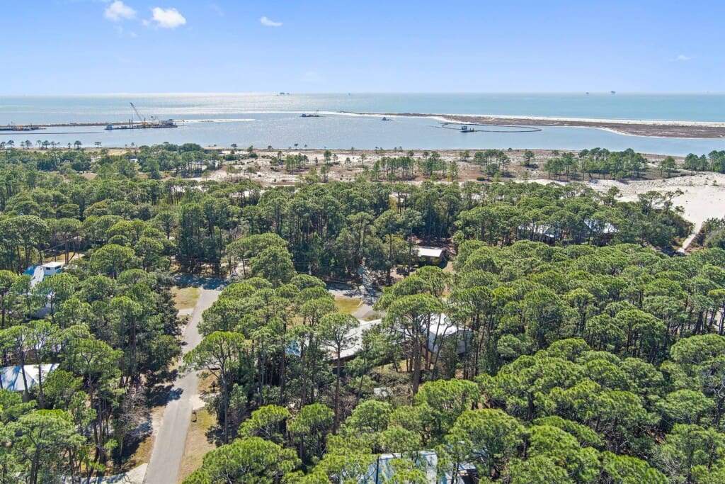 dada2a089441439fa93597da7e57c7ba LargeOriginal.jpg