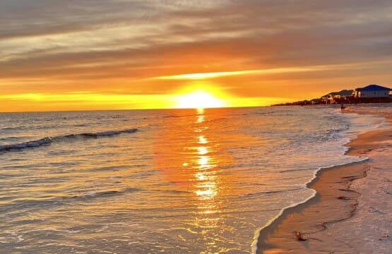 f1ae26e4aa3848d8ba33f583847fe622 LargeOriginal.jpg