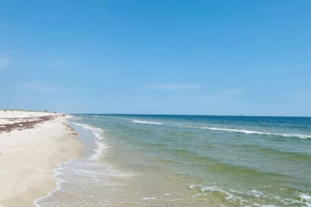 11f6ba223a0e4d75aeed9cfacda9d167 LargeOriginal.jpg