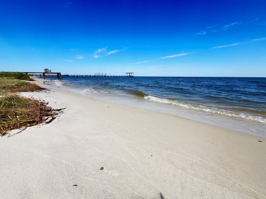 5eb1a01ecb12414f80d2145d70f7ece0 LargeOriginal.jpg