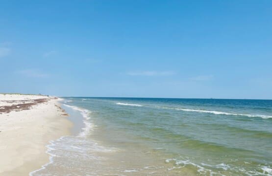 614938be71f74adeb2de4241fd10d12e LargeOriginal.jpg