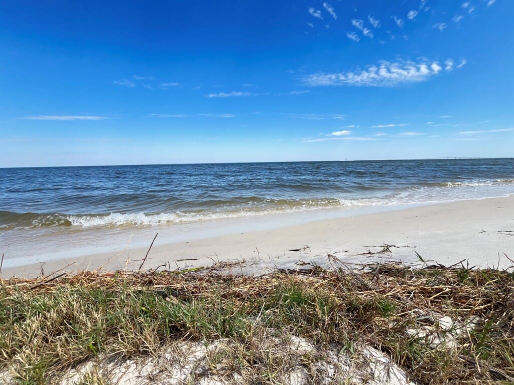 93a924a17e654ecfa2792d31b9a7dd62 LargeOriginal.jpg