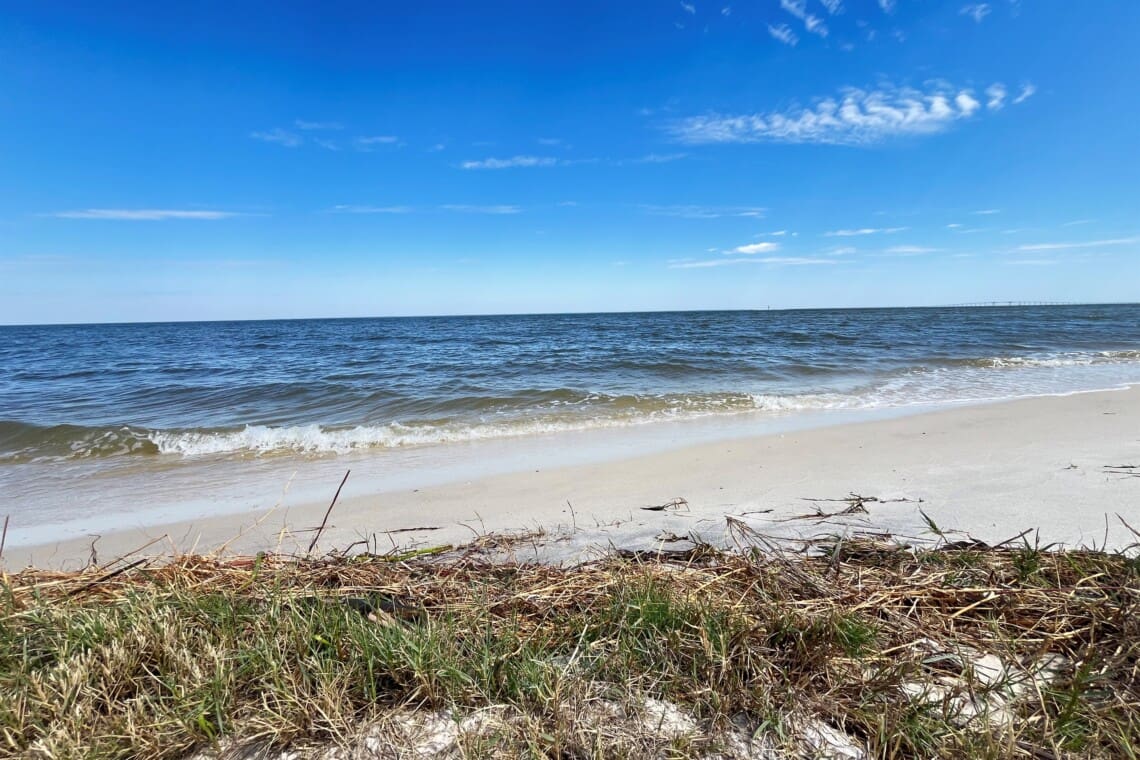 93a924a17e654ecfa2792d31b9a7dd62 LargeOriginal.jpg