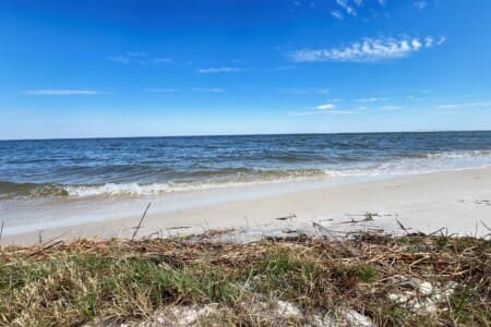 93a924a17e654ecfa2792d31b9a7dd62 LargeOriginal.jpg