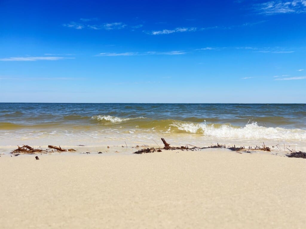 e7d6fa95eb704539af21fb54ec7408e2 LargeOriginal.jpg