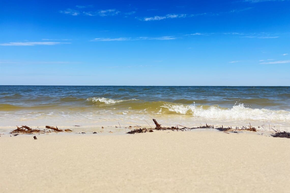 e7d6fa95eb704539af21fb54ec7408e2 LargeOriginal.jpg