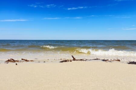 e7d6fa95eb704539af21fb54ec7408e2 LargeOriginal.jpg