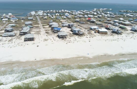 0f87fcba5db14d60bf853b8e3fda3439 LargeOriginal.jpg