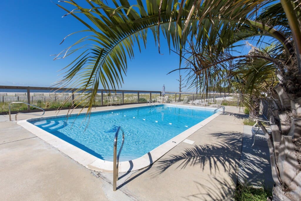 41f0ea783f32455d850f218cc8e40e74 LargeOriginal.jpg