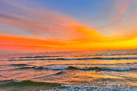 60d1c48d6d714d97b0af836620326fa1 LargeOriginal.jpg