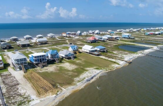 d8cdbb5fd637499f9613c89ba736d259 LargeOriginal.jpg