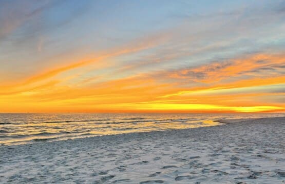 f9f9579c40874f909e8c18a628271481 LargeOriginal.jpg