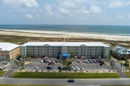 196f047202a24ba88879dc43d71c12f6 LargeOriginal.jpg